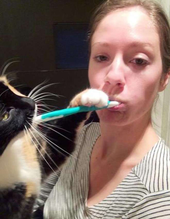 صور مضحكة: قطط  مشاكسة لكنها حنونة لا تترك اصحابها ابدا صورة رقم 4