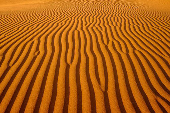  25 صورة مذهلة تخطف الابصار في مسابقة ناشيونال جيوجرافيك صورة رقم 16