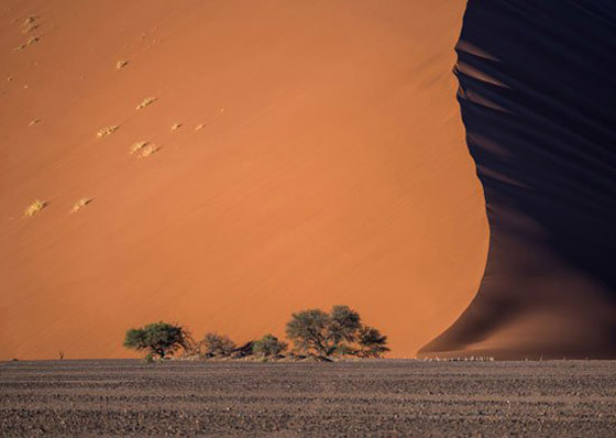  25 صورة مذهلة تخطف الابصار في مسابقة ناشيونال جيوجرافيك صورة رقم 25