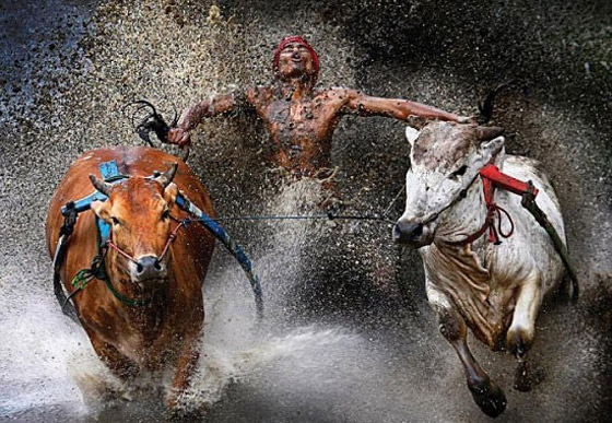 7 صور مأساوية نالت جوائز عالمية معظمها ناطقة بالعربية صورة رقم 3