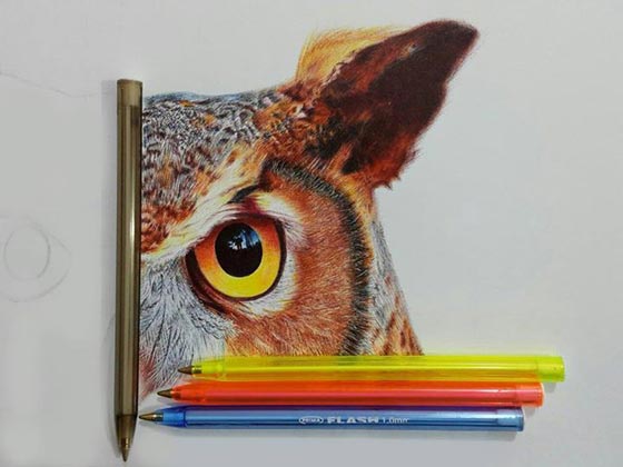 فن نادر.. صور الفنون الابداعية لمصري يرسم بقلم الحبر صورة رقم 13