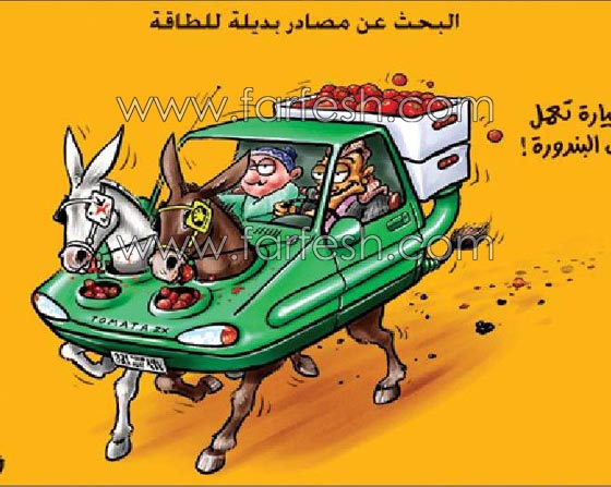  صور كاريكاتير ضاحكة عن ارتفاع اسعار الطماطم (البندورة) صورة رقم 16