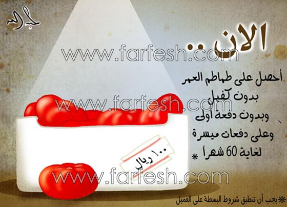  صور كاريكاتير ضاحكة عن ارتفاع اسعار الطماطم (البندورة) صورة رقم 18