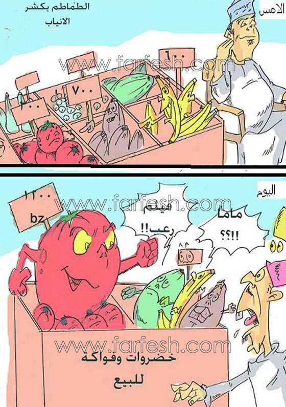  صور كاريكاتير ضاحكة عن ارتفاع اسعار الطماطم (البندورة) صورة رقم 19