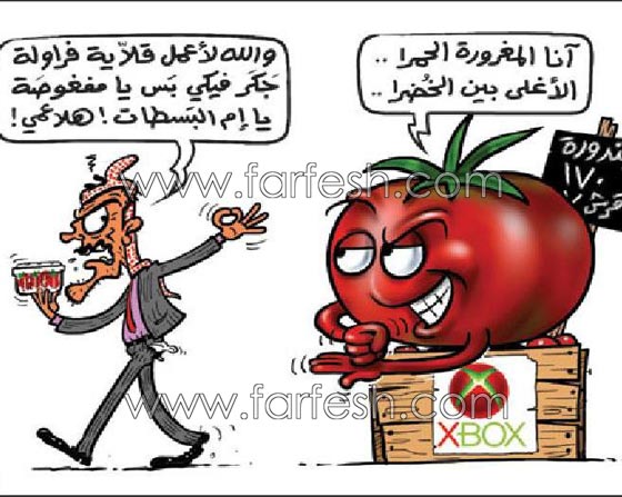  صور كاريكاتير ضاحكة عن ارتفاع اسعار الطماطم (البندورة) صورة رقم 2