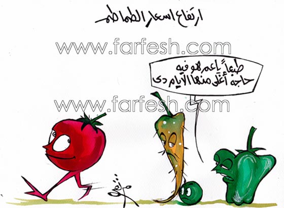  صور كاريكاتير ضاحكة عن ارتفاع اسعار الطماطم (البندورة) صورة رقم 7