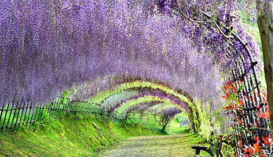 صور اجمل 10 أماكن لتجارب سياحية مميزة خلال عام 2016   صورة رقم 2