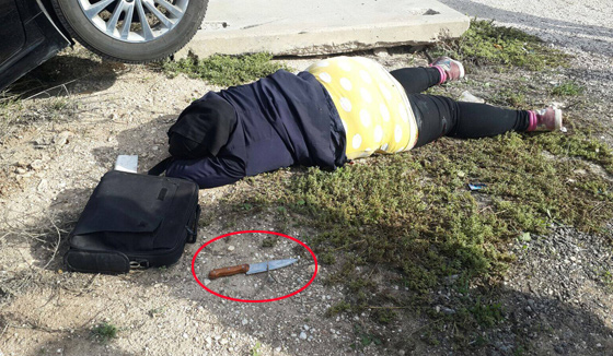 صورة رقم 1 - نار لا تبقي ولا تذر لا يخرج منها الا سكين وجواز سفر صورة رقم 1 - نار لا تبقي ولا تذر لا يخرج منها الا سكين وجواز سفر