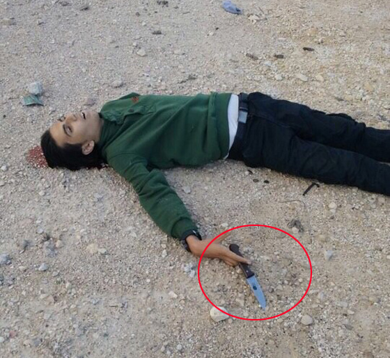 صورة رقم 4 - نار لا تبقي ولا تذر لا يخرج منها الا سكين وجواز سفر صورة رقم 4 - نار لا تبقي ولا تذر لا يخرج منها الا سكين وجواز سفر