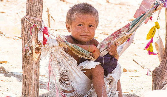 صور مبهرة من الكاريبي تجمع بين البحر، الصحراء والصبار صورة رقم 9