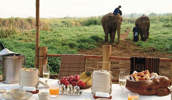 المثلث الذهبي: تجربة تخييم فريدة قد تكون لاكثر رفاهية في العالم صورة رقم 3