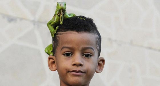 صور مذهلة.. اطلالات على الايحاءات والرموز في عالم الحيوان صورة رقم 12