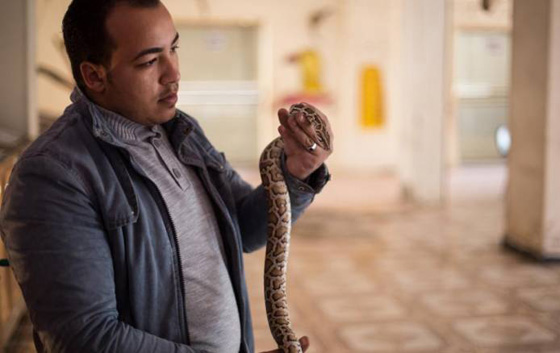 اغرب صور: مصري يربي حيوانات في بيته: قرود، ذئاب، نسور، اسد، ثعابين وتماسيح! صورة رقم 4 اغرب صور: مصري يربي حيوانات في بيته: قرود، ذئاب، نسور، اسد، ثعابين وتماسيح! صورة رقم 4