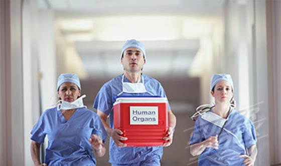 10 اسرار تخفيها مضيفات الطيران: ماء الشرب غير نظيف والطائرة تحمل اعضاء وبقايا بشرية! صورة رقم 10 10 اسرار تخفيها مضيفات الطيران: ماء الشرب غير نظيف والطائرة تحمل اعضاء وبقايا بشرية! صورة رقم 10