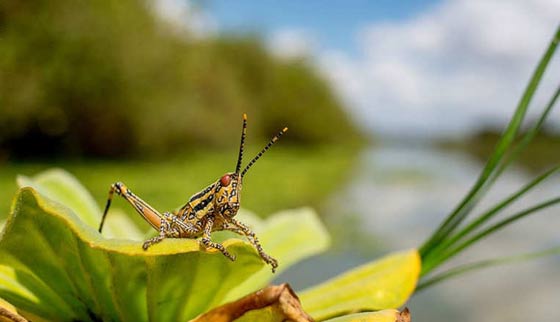 100 الف صورة لكنوز محمية تنزانيا السرية الاكبر في العالم صورة رقم 2