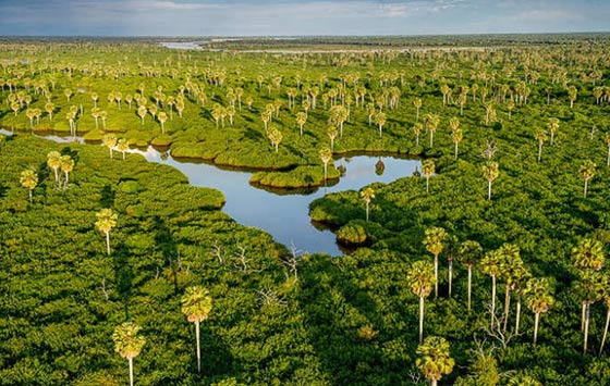 100 الف صورة لكنوز محمية تنزانيا السرية الاكبر في العالم صورة رقم 8