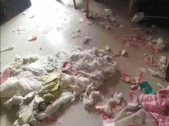 خبأ امواله داخل اللحاف ليخيفها عن زوجته فعثر عليها الكلب ومزقها صورة رقم 2