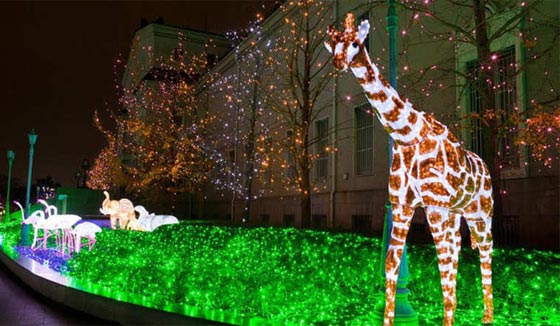 مدن الاضواء في اليابان تضفي جمالا على ليالي الشتاء الطويلة صورة رقم 8