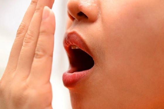 تعرف على اغرب احدى عشرة وظيفة في العالم.. بينها العناق وشم الرائحة!! صورة رقم 6