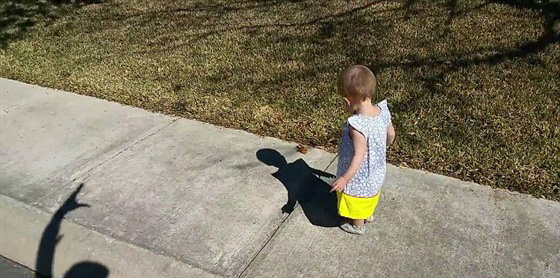 فيديو طريف.. شاهد ردة فعل طفلة لدى مشاهدة ظل يد والدها صورة رقم 3
