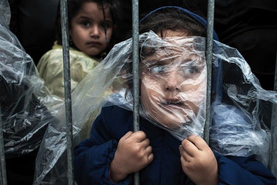 لغة الكاميرا.. افضل صور عام 2015 كما التقطها الصحافيون صورة رقم 10
