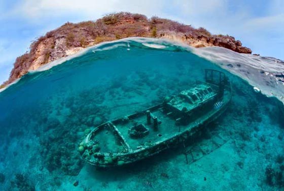اعماق البحار تكشف عن اغوارها الساحرة المبهرة بأروع الصور واحدثها صورة رقم 6