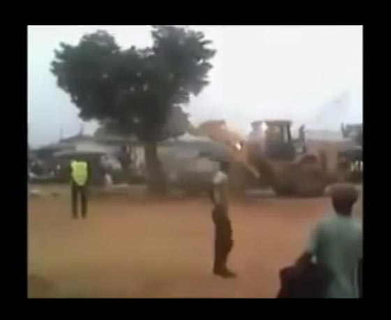 شجرة مسكونة تدهش السودانيين.. كلما اقتلعوها عادت الى مكانها!! صورة رقم 1