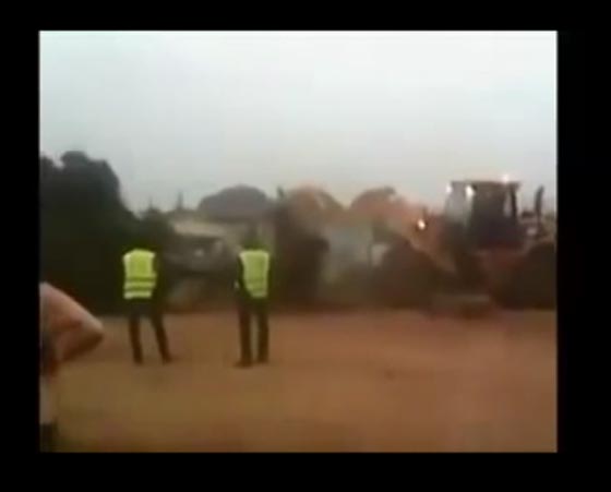 شجرة مسكونة تدهش السودانيين.. كلما اقتلعوها عادت الى مكانها!! صورة رقم 2
