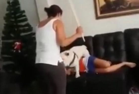 كلب يتضامن مع فتاة ضربتها امه ويحاول الدفاع عنها.. شاهده بفيديو مثير صورة رقم 2