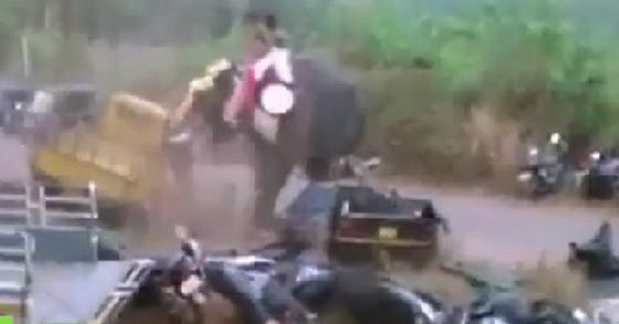فيل غاضب يحول احتفالا دينيا هنديا مقدسا الى فيلم مرعب.. شاهد الفيديو صورة رقم 2
