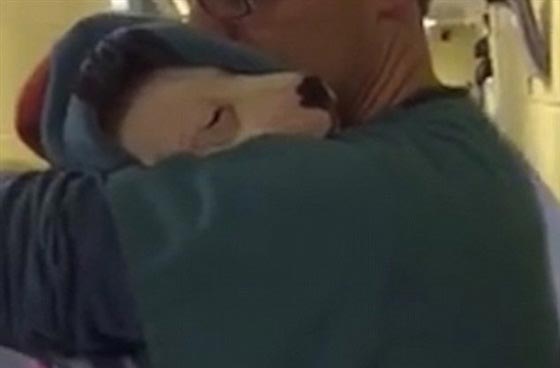 فيديو لطبيب يحمل كلبا كالطفل بعد عملية جراحية اجريت له صورة رقم 1