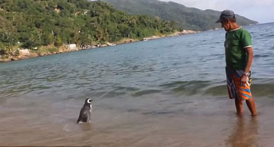 قصة وفاء.. بطريق يزور منقذه سنويا قاطعا الاف الاميال صورة رقم 5