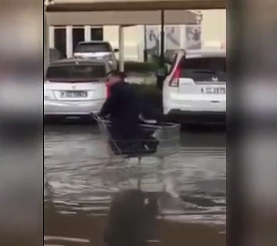 فيديو مضحك.. شاب يحاول عبور الشارع بعربة تسوق في طقس عاصف صورة رقم 1 فيديو مضحك.. شاب يحاول عبور الشارع بعربة تسوق في طقس عاصف صورة رقم 1