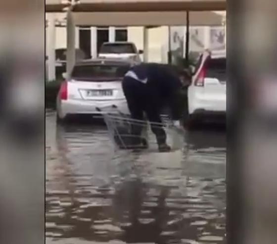 فيديو مضحك.. شاب يحاول عبور الشارع بعربة تسوق في طقس عاصف صورة رقم 2 فيديو مضحك.. شاب يحاول عبور الشارع بعربة تسوق في طقس عاصف صورة رقم 2