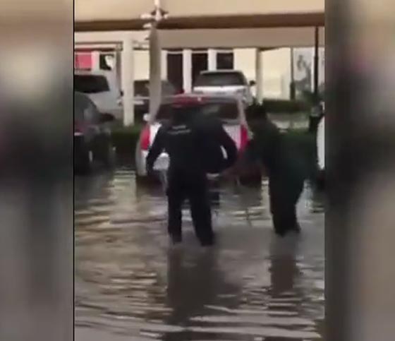 فيديو مضحك.. شاب يحاول عبور الشارع بعربة تسوق في طقس عاصف صورة رقم 3 فيديو مضحك.. شاب يحاول عبور الشارع بعربة تسوق في طقس عاصف صورة رقم 3