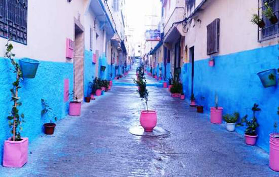 شباب طنجة المغربية يحولون شوارعهم الى تحف فنية مزينة بالورود والأشجار والالوان صورة رقم 1 شباب طنجة المغربية يحولون شوارعهم الى تحف فنية مزينة بالورود والأشجار والالوان صورة رقم 1