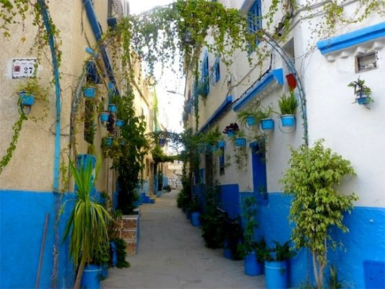 شباب طنجة المغربية يحولون شوارعهم الى تحف فنية مزينة بالورود والأشجار والالوان صورة رقم 13 شباب طنجة المغربية يحولون شوارعهم الى تحف فنية مزينة بالورود والأشجار والالوان صورة رقم 13