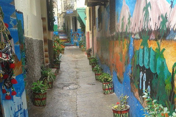 شباب طنجة المغربية يحولون شوارعهم الى تحف فنية مزينة بالورود والأشجار والالوان صورة رقم 14 شباب طنجة المغربية يحولون شوارعهم الى تحف فنية مزينة بالورود والأشجار والالوان صورة رقم 14
