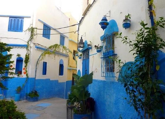 شباب طنجة المغربية يحولون شوارعهم الى تحف فنية مزينة بالورود والأشجار والالوان صورة رقم 11 شباب طنجة المغربية يحولون شوارعهم الى تحف فنية مزينة بالورود والأشجار والالوان صورة رقم 11