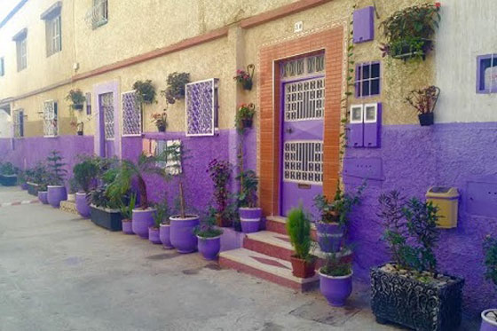 شباب طنجة المغربية يحولون شوارعهم الى تحف فنية مزينة بالورود والأشجار والالوان صورة رقم 5 شباب طنجة المغربية يحولون شوارعهم الى تحف فنية مزينة بالورود والأشجار والالوان صورة رقم 5