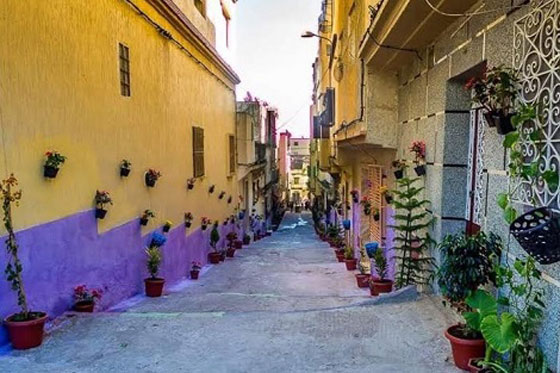 شباب طنجة المغربية يحولون شوارعهم الى تحف فنية مزينة بالورود والأشجار والالوان صورة رقم 6 شباب طنجة المغربية يحولون شوارعهم الى تحف فنية مزينة بالورود والأشجار والالوان صورة رقم 6
