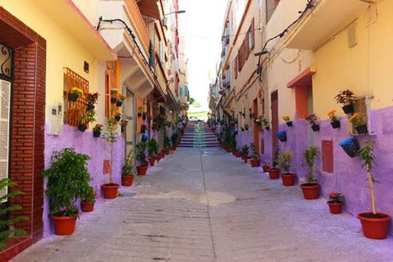 شباب طنجة المغربية يحولون شوارعهم الى تحف فنية مزينة بالورود والأشجار والالوان صورة رقم 7 شباب طنجة المغربية يحولون شوارعهم الى تحف فنية مزينة بالورود والأشجار والالوان صورة رقم 7