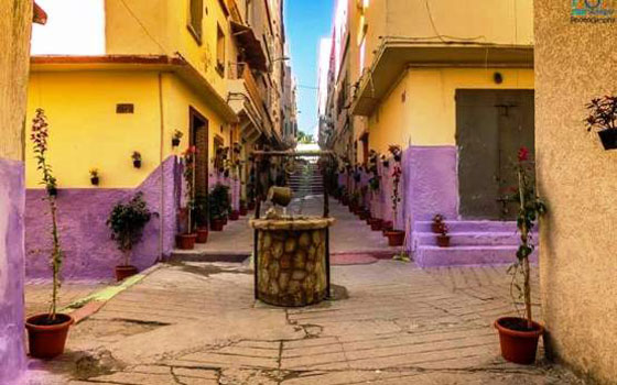شباب طنجة المغربية يحولون شوارعهم الى تحف فنية مزينة بالورود والأشجار والالوان صورة رقم 8 شباب طنجة المغربية يحولون شوارعهم الى تحف فنية مزينة بالورود والأشجار والالوان صورة رقم 8