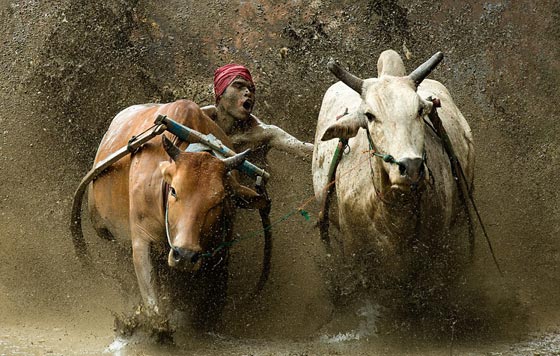 صور اشبه بلوحات فنية رائعة التقطها طبيب في جولته حول العالم صورة رقم 5