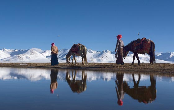 صور اشبه بلوحات فنية رائعة التقطها طبيب في جولته حول العالم صورة رقم 10