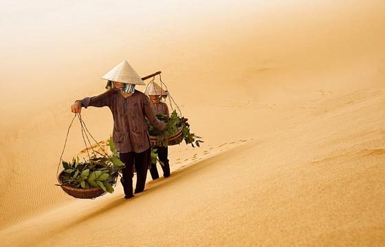 صور اشبه بلوحات فنية رائعة التقطها طبيب في جولته حول العالم صورة رقم 13