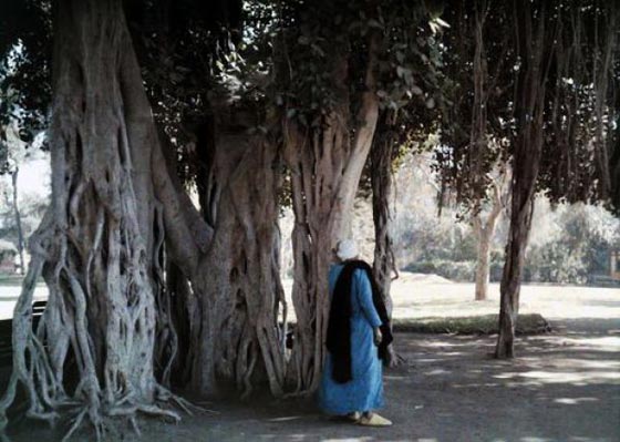 صور نادرة ملونة من عام 1920 تظهر جمال مصر وروعتها صورة رقم 11