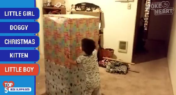 كيف يكون رد فعلك عندما تحصل على هدية غير متوقعة؟ فيديو صورة رقم 8