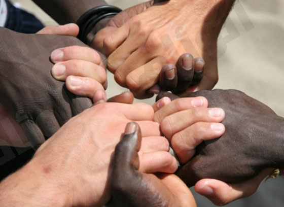 صورة رقم 1 - كيف يمكن وضع حد لمظاهر العنصرية حسب رايك؟ صورة رقم 1 - كيف يمكن وضع حد لمظاهر العنصرية حسب رايك؟