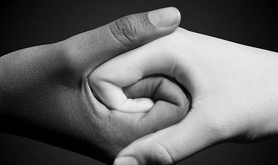 صورة رقم 2 - كيف يمكن وضع حد لمظاهر العنصرية حسب رايك؟ صورة رقم 2 - كيف يمكن وضع حد لمظاهر العنصرية حسب رايك؟